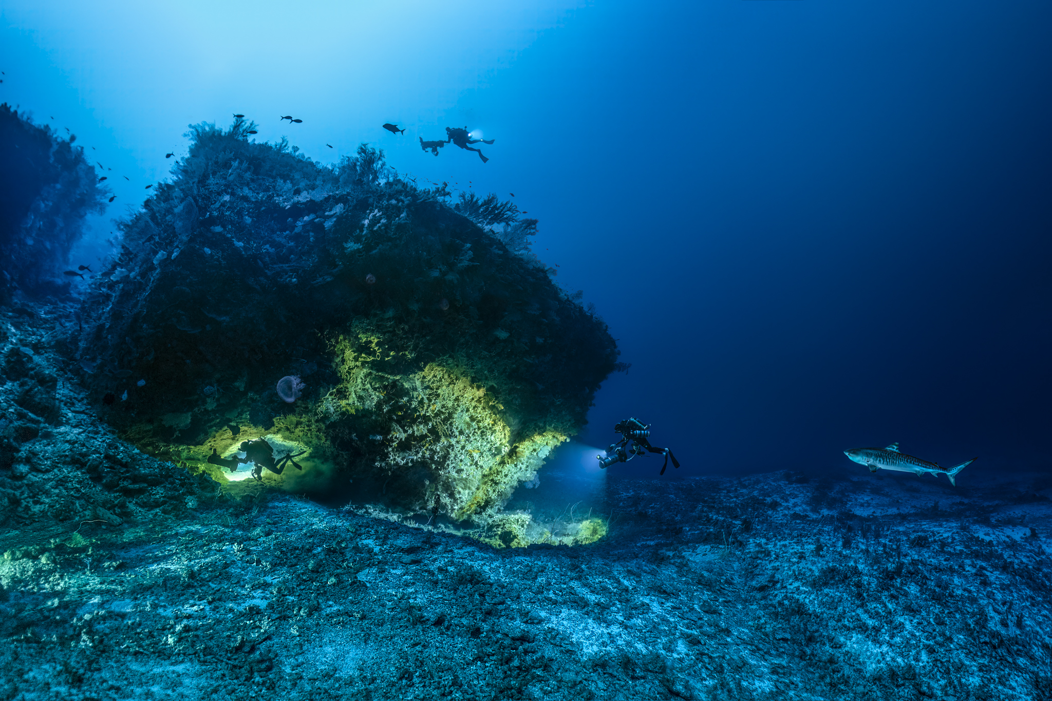 Adélie Mer 01 © Laurent Ballesta