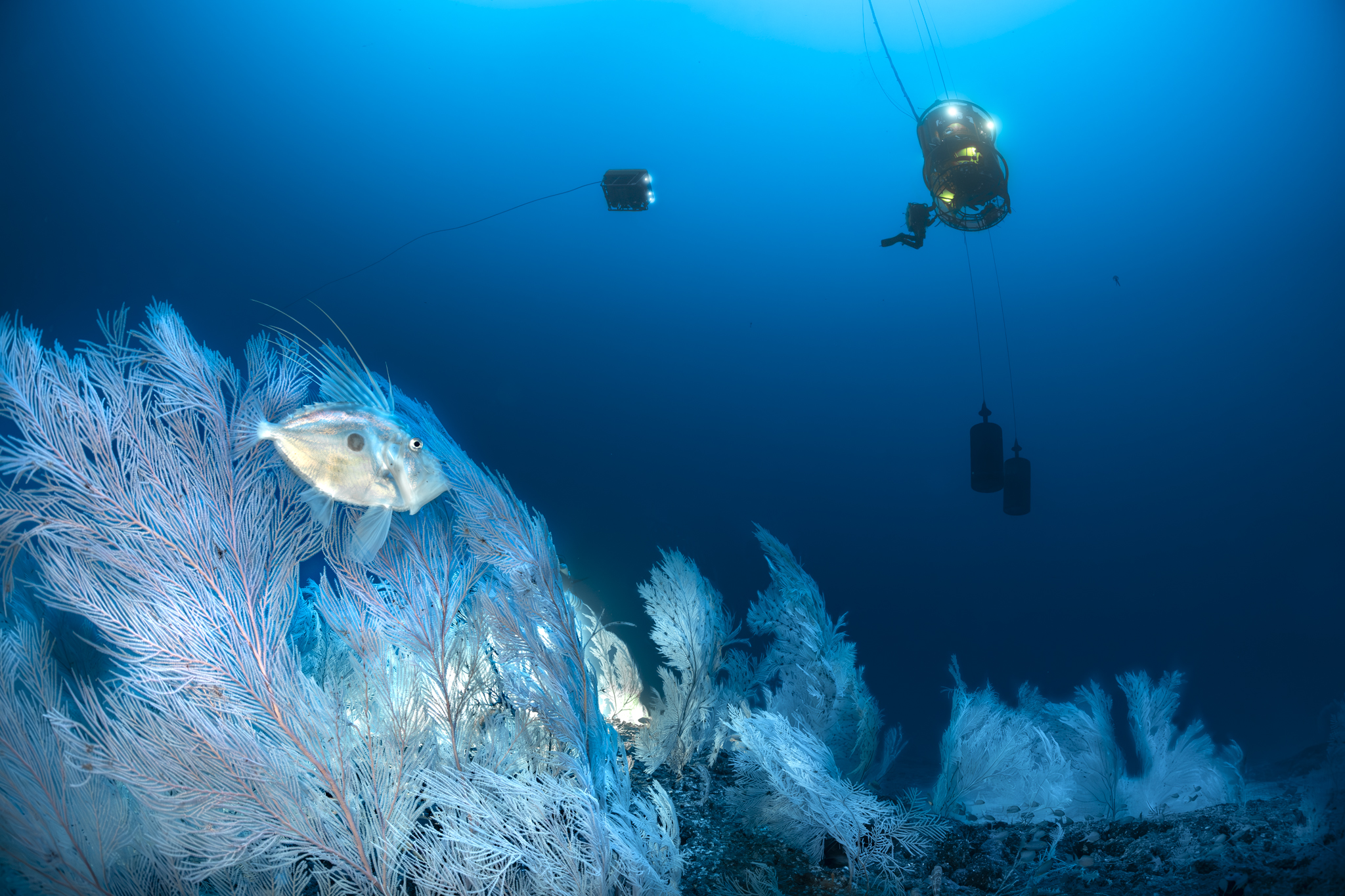 Galerie Méditerranée